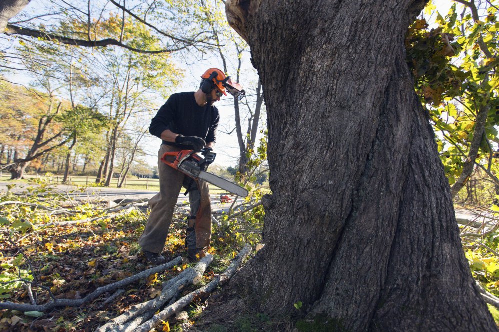 Todd Robbins works to clear Charles E. Jordan Road of downed limbs on Tuesday.