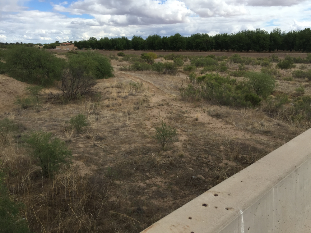 Writer George Smith came across rivers in Arizona with no water in them while on a birding trip with his wife Linda last April.