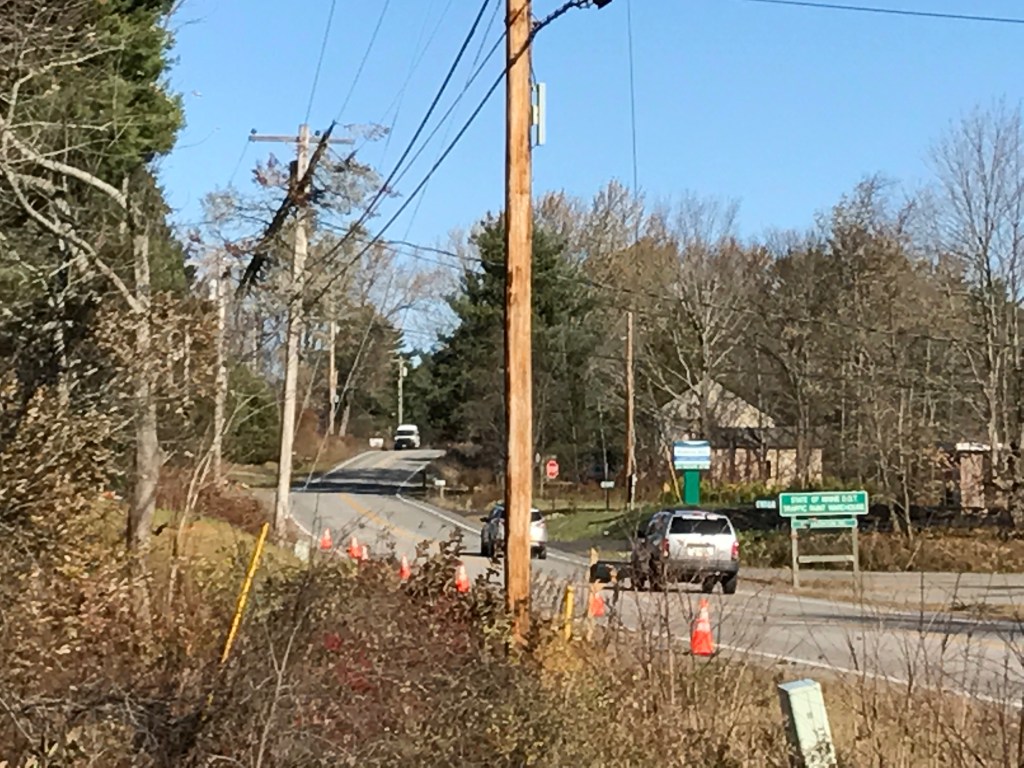 A tree limb leans on power lines Friday morning on Leighton Road.
