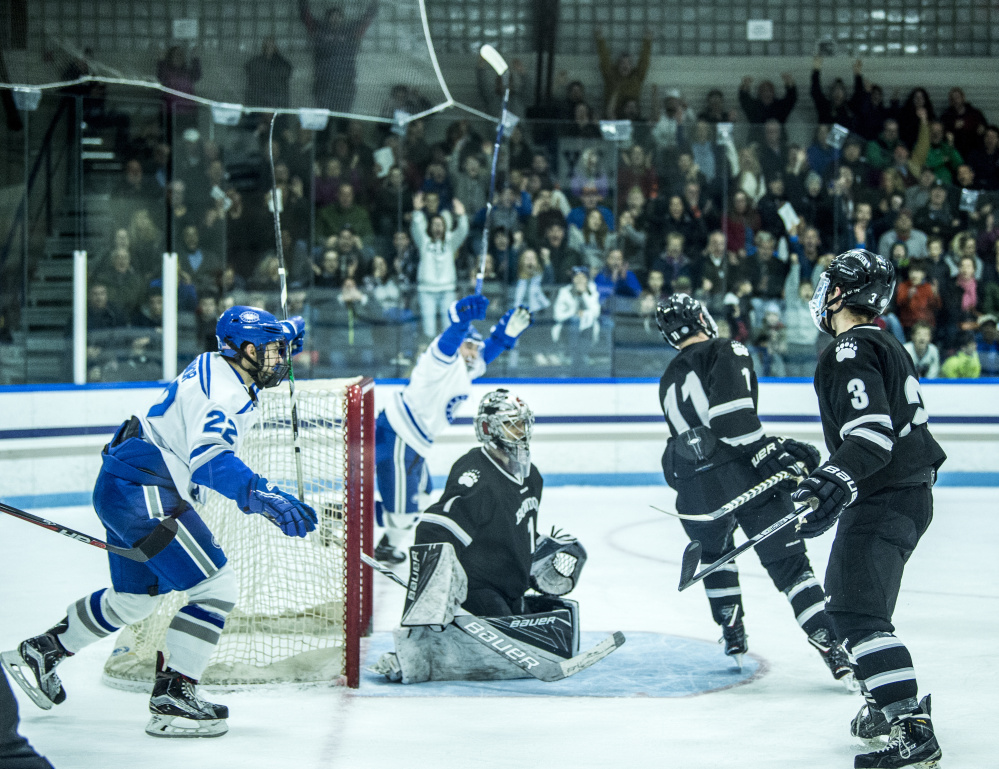 WATERVILLE, ME - DECEMBER 1, 2017 
 Colby College celebrates their first period goal to tie Bowdoin College 1-1 in the first period at Alfond Ice Arena at Colby College in Waterville on Friday, Dec. 1, 2017. (Staff photo by Michael G. Seamans/Staff Photographer)