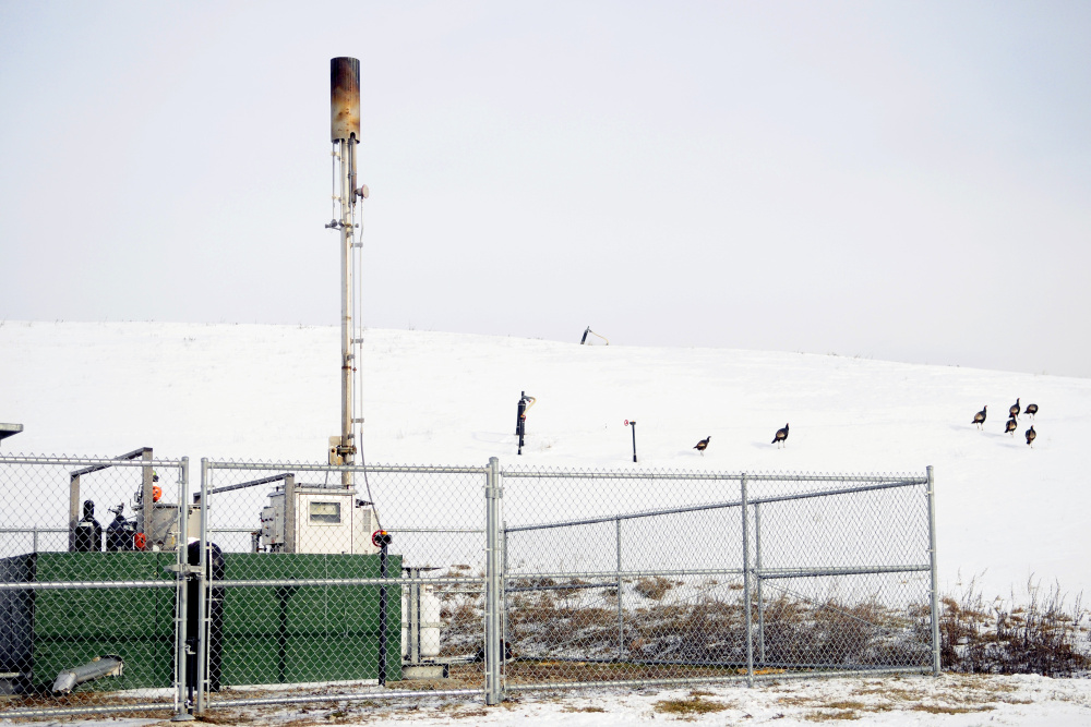 A flock of turkeys walks away from a methane flare installation Jan. 10, 2017, at the Hatch Hill Landfill in Augusta. Officials are proposing expanding their efforts to capture methane at the city landfill.