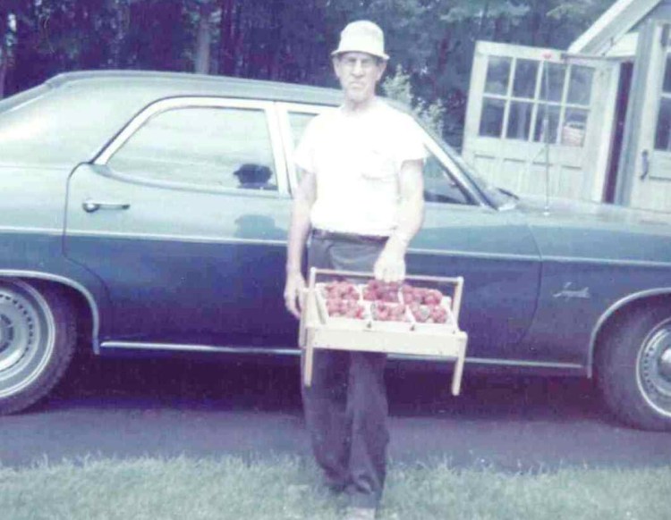 Ellen Ridley's grandfather would pick fruit and then sit beneath an old birch tree, filling wooden pint boxes.