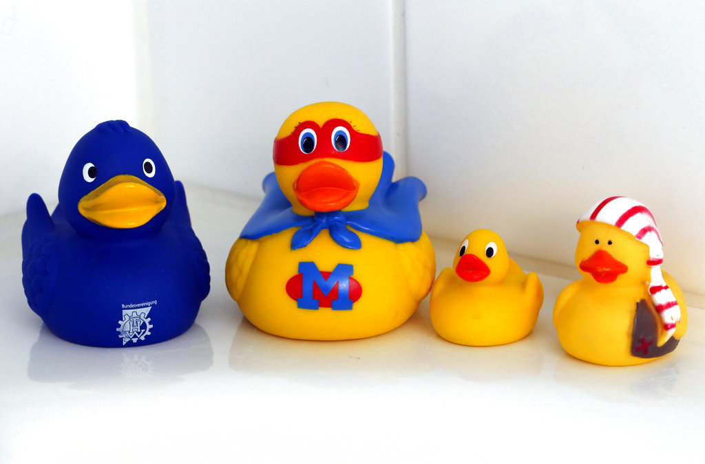 Swiss researchers said on Tuesday, the cute, yellow bath-time friends harbor a dirty secret: Microbes swimming inside. 
