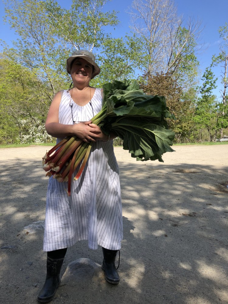Susan Bickford, who created her first "(stillness)" in 2015, has lived most of her life in Maine and is from a family with seven generations of roots in the state.