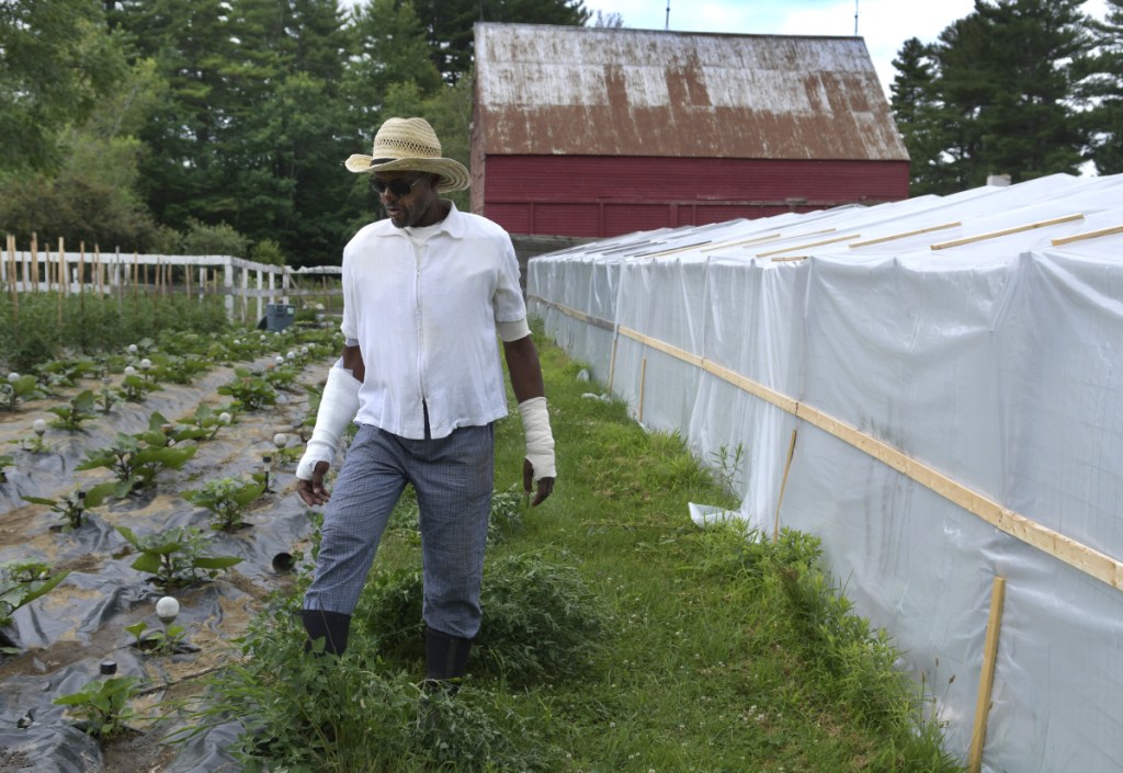 Craig Hickman knocks down weeds with his feet Sunday, July 15, at Annabessacook Farm in Winthrop while recovering from burns he sustained on his chest, arms and face last week. People are volunteering labor at the farm to help the state representative cultivate produce as he rebounds from his injuries.