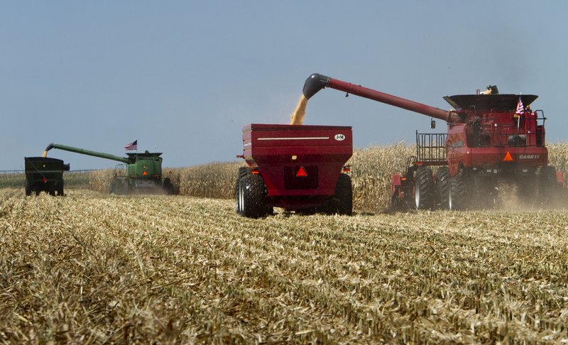 Combines harvest a cornfield during a demonstration at the Husker Harvest Days fair in Grand Island, Neb., in a 2010 file photo. 