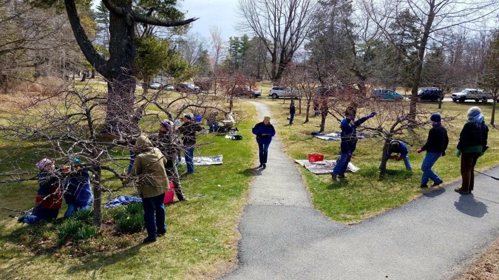 Master Gardener Volunteer Amy Fischer, center, walks along the walkway. She took the pruning workshop as part of her training.