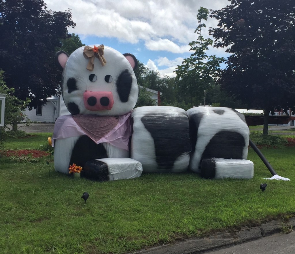 Madison/Anson "Down on the Farm" Days is planned for Aug. 23-26 in the towns of Madison and Anson. Each year the Madison/Anson Days Committee decides on a theme for its events. This year they voted on "Down on the Farm." Farming of all kinds will be celebrated, whether it be milking cows, haying, raising ducks, quail, chickens for eggs, bunnies, goats and from there making cheeses, butter etc., or gardening, canning, bees honey, maple syrup, soaps or lotions. The sky is the limit when it comes to farming. So the ladies at the Anson Town Office wanted to have some fun with it this year and made this adorable display which they fondly call "Bessey the Heifer." For more information about the event, contact the Anson Town Office at 696-3979 or the Madison Town Office at 696-3971 or visit <a href="http://www.facebook.com/Madison-Anson-Days">www.facebook.com/Madison-Anson-Days</a>.