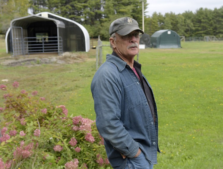 Alan Russo said Wednesday that he's only seen one feral cat in the last week, when a black cat scampered across the driveway at his farm on the Townhouse Road in Whitefield. He said a large number of the cats have been captured.