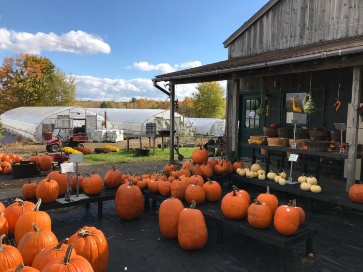 Richard Freeman, who owns Hilltop Farm and Greenhouses on Middle Road, doesn't expect Fairfield's proposed food sovereignty ordinance to affect his business, but said the concept of food sovereignty is "something I would definitely support."