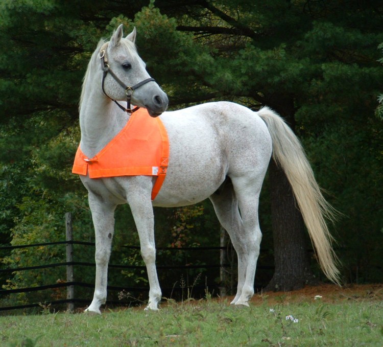 The vest is made of heavy-duty, open-weave mesh similar to that worn by road crews.