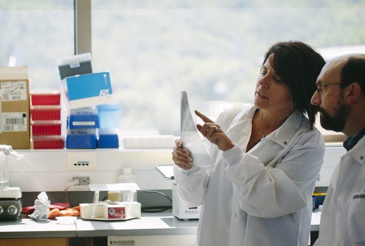 Researchers discuss a genome map on X-ray film at The Jackson Laboratory in Bar Harbor, one of the recipients of a grant from the Maine Technology Institute last year.