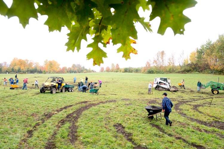 Volunteers repair the damage done by vandals at the Sabbathday Lake Shaker Village hayfield in New Gloucester on Saturday, October 13, 2018.
