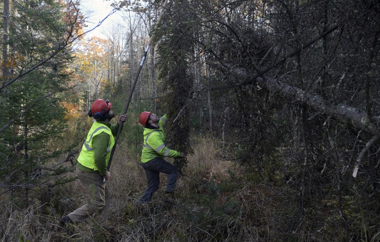 Lucas Tree Experts employees Mike Nichols, left, and Justin Boudrea remove a limb from a disabled power line Sunday in Readfield. The team worked along side CMP crews to restore power at several locations in Kennebec County after wind knocked out service to 38,000 customers.
