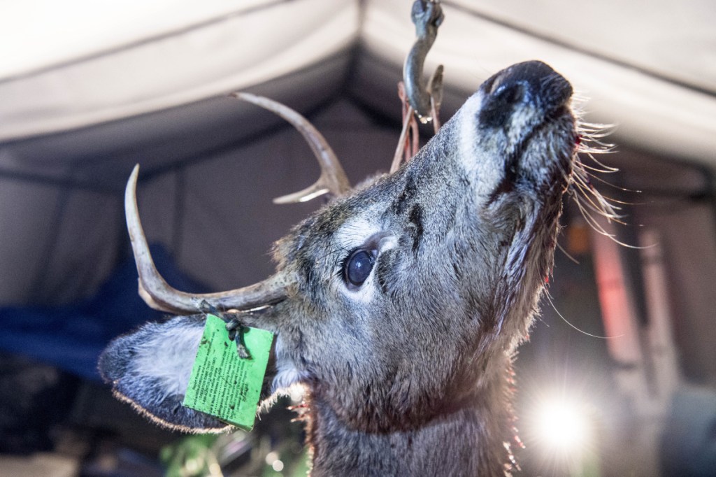 Chase Foss, 9, left, and his father, Daniel Foss, stand with a doe with antlers, a rare find, on Tuesday night at their home in New Sharon. Chase Foss bagged the deer on his first day of hunting on Monday with his father in Solon.