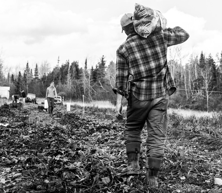 Farmers in a Unity field at a recent Veggies for All event.
