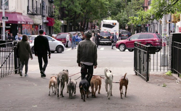 This image released by Netflix shows a scene from the documentary "Dogs." 