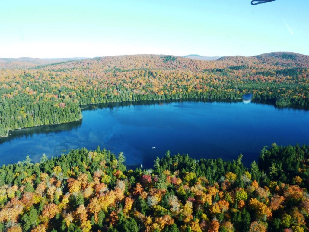 Reed Pond
