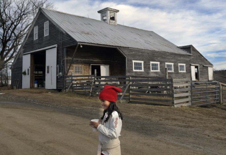 Sarita Payson-Roopchand sips wassail Sunday during the Yule Goat Celebration at her family's farm in Somerville. Pumpkin Vine Family Farm hosted the Scandinavian holiday celebration.