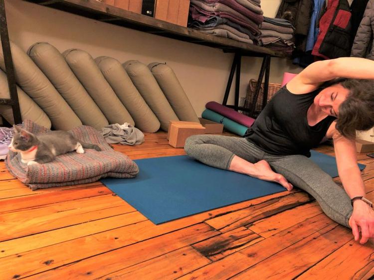 Louise Rosen of Brunswick, a regular at Jai Yoga studio on Maine Street, holds a pose accompanied by one of the 16 adoptable kittens that pounced their way through the studio&rsquo;s first Kitten Yoga class on Jan. 18.