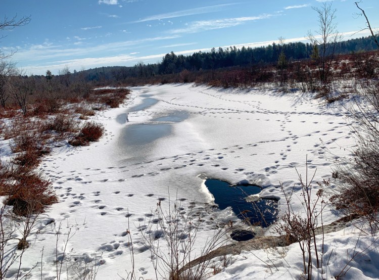 Private land in Newfield and Parsonsfield will become the Ukrainian countryside where two Navy SEAL snipers are sent to kill a militia leader but unleash "something not human" in Billy Hanson's indie horror film "Bone Cold."