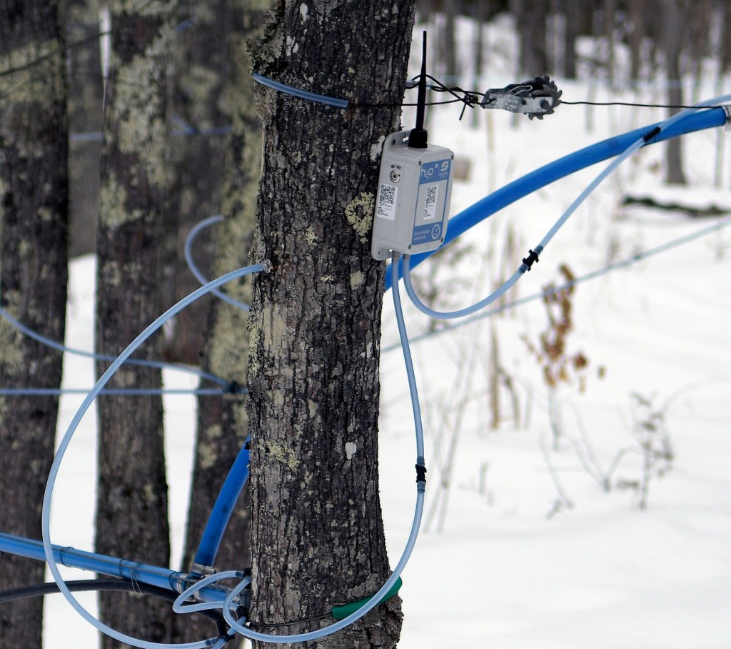 A monitor sends electronic signals to the sugar shack about the flow of sap in a sugar bush Sunday at Bacon Farm Maple Products in Sidney.