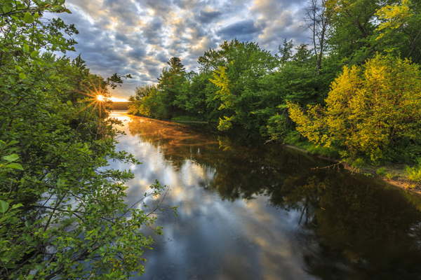 June 15, 2017. Silver Lake, Northeast Piscataquis, Maine-- Photo by Jerry Monkman.