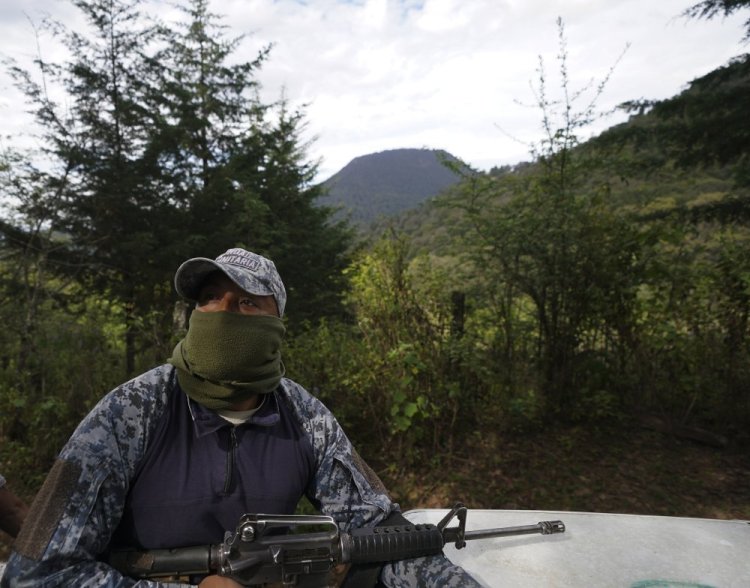 A communal police forest officer rides in the back of a pickup truck along with a volunteer community patrol through the woods looking for illegal logging and avocado planting, on the outskirts of the Indigenous township of Cheran, Michoacan state, Mexico.