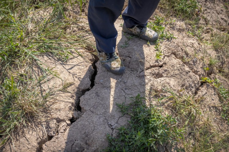 A farmer stands above a deep crack in the dried mud of an embankment in his rice fields on Sunday in Chongqing, China. The Sichuan province has been hardest hit by drought and government officials say thousands of hectares of crops are a total loss.