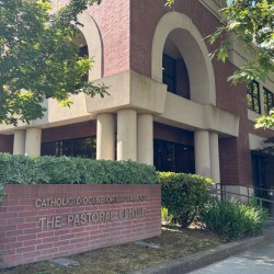 Immigration Migrant Flights